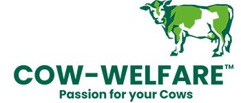 Cow Welfare