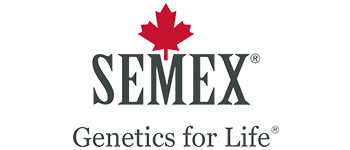 Semex